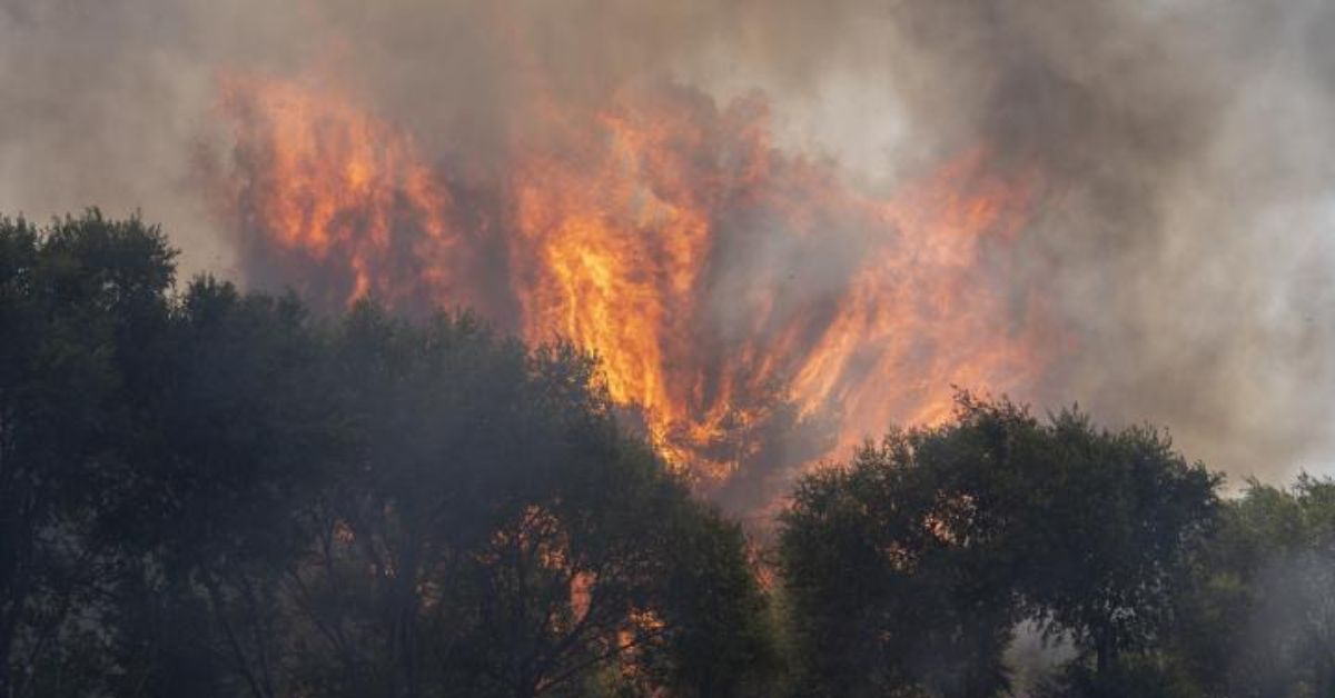 Incendios Madrid