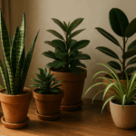 Plantas de interior fáciles de cuidar: guía práctica para principiantes