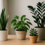 Plantas de interior fáciles de cuidar: guía práctica para un hogar con vida