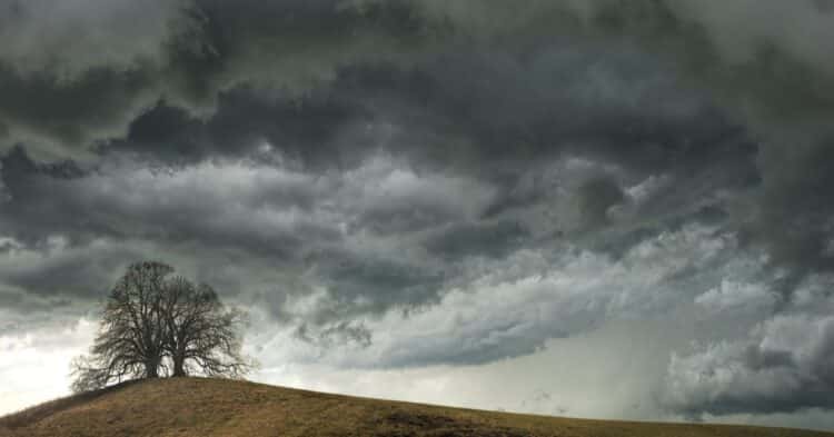 La AEMET confirma la fecha de una nueva borrasca: se complica el tiempo con precipitaciones intensas y avisos en varias zonas de España La AEMET confirma la fecha de una nueva borrasca: se complica el tiempo con precipitaciones intensas y avisos en varias zonas de España