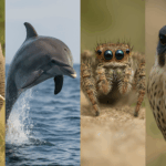 Animales con habilidades extraordinarias: adaptación, instinto y asombro en la naturaleza