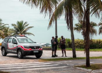 Aparece un delfín muerto con la cola amputada en la playa del Trampolín