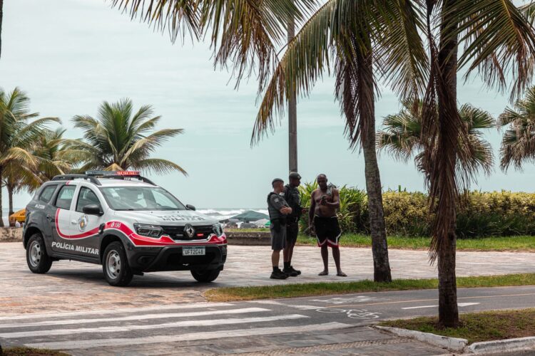 Aparece un delfín muerto con la cola amputada en la playa del Trampolín Aparece un delfín muerto con la cola amputada en la playa del Trampolín