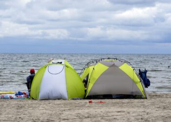 Cambios en el entorno del CETI: eliminación de asentamientos y reubicación de migrantes