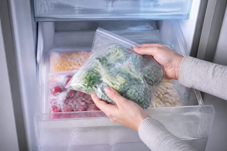 Guía básica para congelar alimentos sin perder sabor ni textura