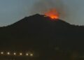 Extinguido el incendio en el Monte de la Tortuga, 10.000 m² afectados