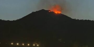 Extinguido el incendio en el Monte de la Tortuga, 10.000 m² afectados