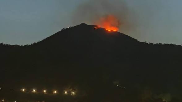 Extinguido el incendio en el Monte de la Tortuga, 10.000 m² afectados