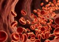 España afronta casi 28.700 nuevos casos de cáncer hematológico en 2027: linfomas, leucemias y mieloma concentran la mayoría de diagnósticos España afronta casi 28.700 nuevos casos de cáncer hematológico en 2027: linfomas, leucemias y mieloma concentran la mayoría de diagnósticos