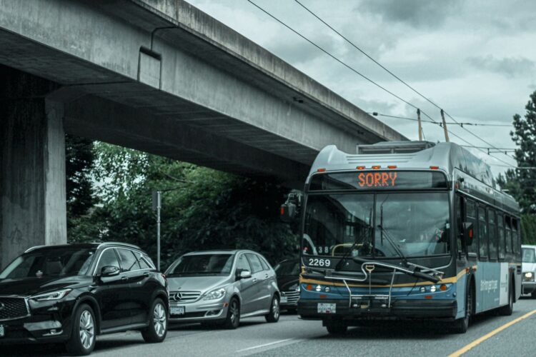 Autobuses gratuitos para subir mañana a San Antonio Autobuses gratuitos para subir mañana a San Antonio