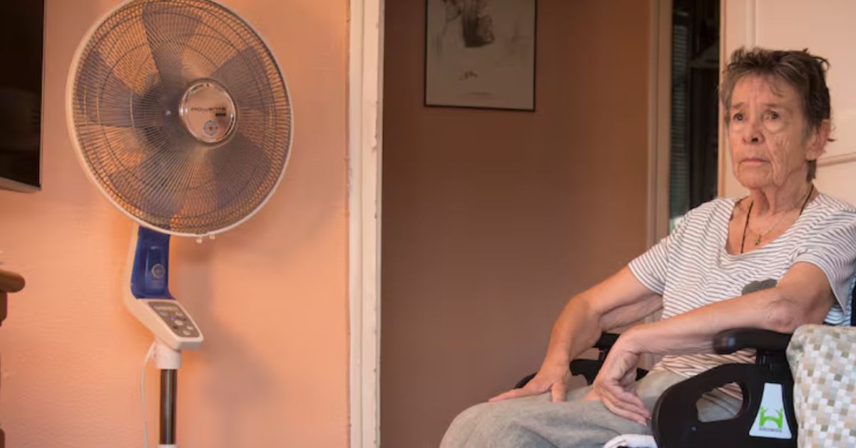 Una escritora anónima se ofrece a pagar el alquiler de una anciana de 87 años para evitar su desahucio en Madrid Una escritora anónima se ofrece a pagar el alquiler de una anciana de 87 años para evitar su desahucio en Madrid