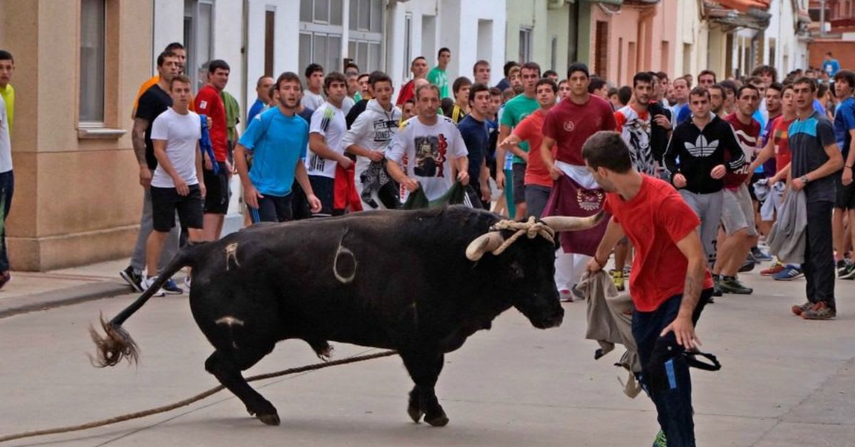 Muere una joven de 25 años herida por un toro con soga en Lodosa Muere una joven de 25 años herida por un toro con soga en Lodosa