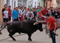 Muere una joven de 25 años herida por un toro con soga en Lodosa Muere una joven de 25 años herida por un toro con soga en Lodosa