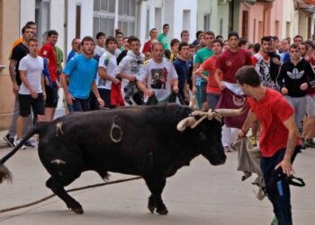 Muere una joven de 25 años herida por un toro con soga en Lodosa