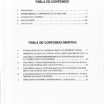 Índice del informe del CENIF