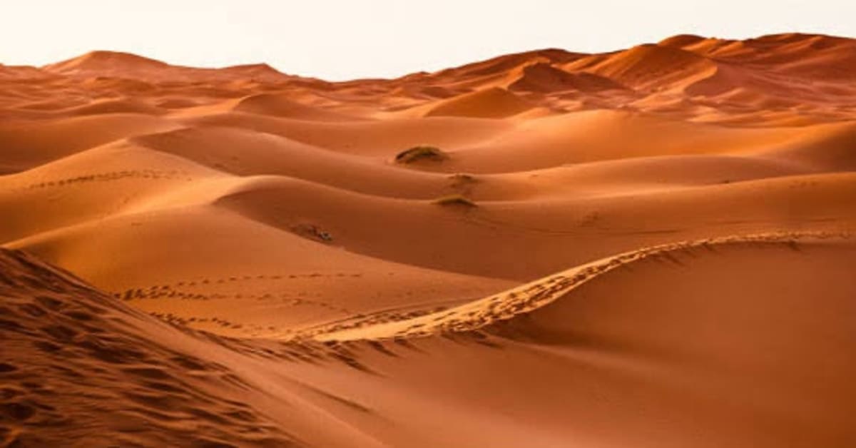 Marruecos impulsa la agricultura en Dajla con agua desalinizada del Atlántico Marruecos impulsa la agricultura en Dajla con agua desalinizada del Atlántico