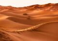 Marruecos impulsa la agricultura en Dajla con agua desalinizada del Atlántico