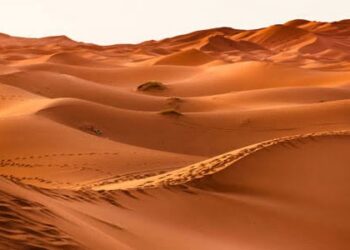 Marruecos impulsa la agricultura en Dajla con agua desalinizada del Atlántico