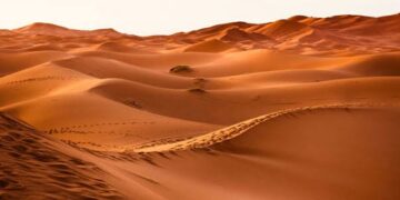Marruecos impulsa la agricultura en Dajla con agua desalinizada del Atlántico Marruecos impulsa la agricultura en Dajla con agua desalinizada del Atlántico