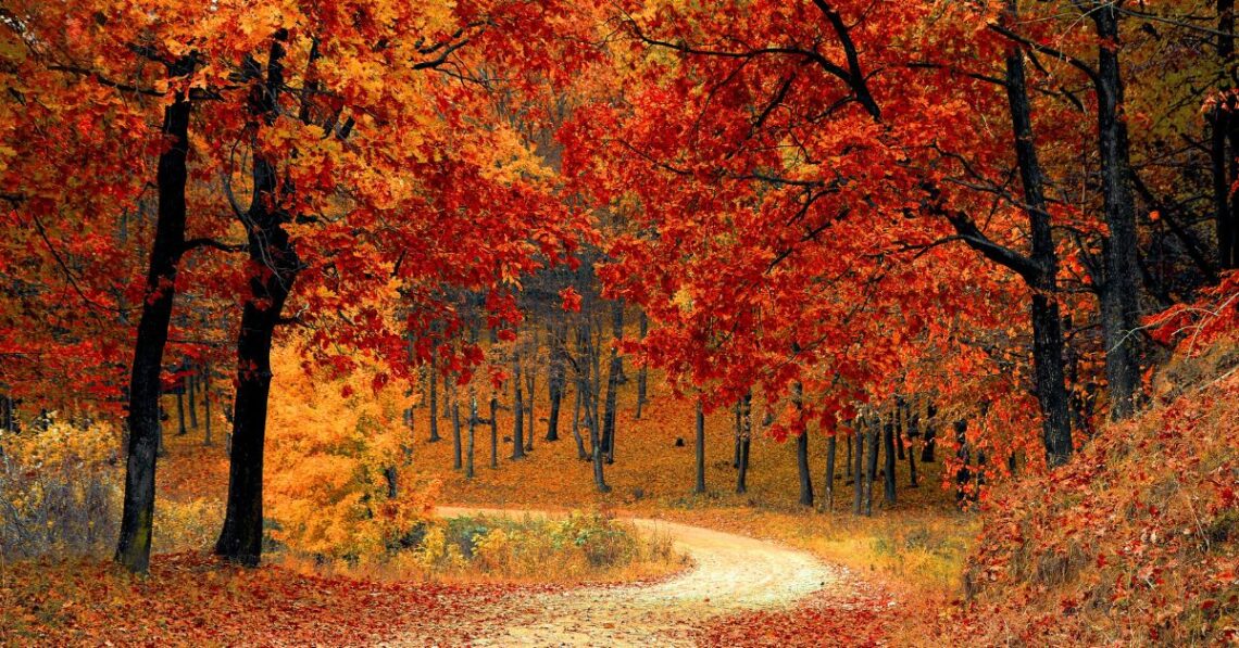 Cuándo empieza el otoño 2026 en España: fecha y hora oficial del equinoccio según el Instituto Geográfico Nacional