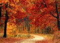 Cuándo empieza el otoño 2026 en España: fecha y hora oficial del equinoccio según el Instituto Geográfico Nacional