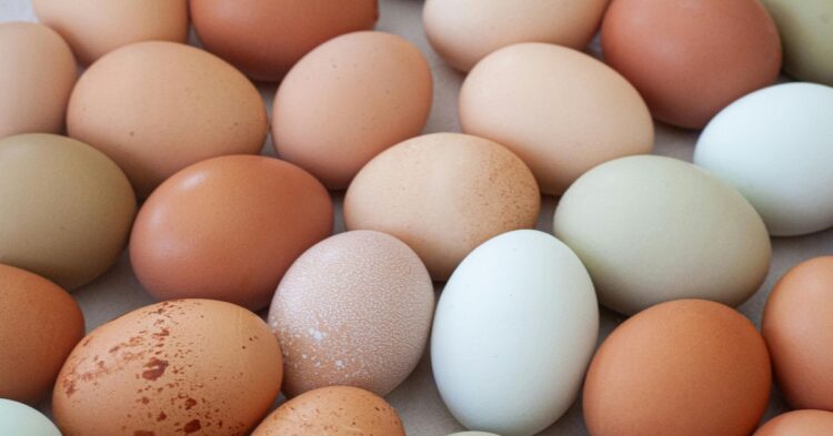El precio de los huevos en los supermercados hoy, 14 de septiembre: cuánto cuestan en Mercadona, Carrefour, Alcampo o DIA El precio de los huevos en los supermercados hoy, 14 de septiembre: cuánto cuestan en Mercadona, Carrefour, Alcampo o DIA