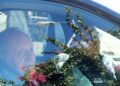 El Rey Juan Carlos I regresa a España para competir en las regatas de Galicia y reencontrarse con su familia El Rey Juan Carlos I regresa a España para competir en las regatas de Galicia y reencontrarse con su familia