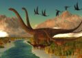Teruel aporta la primera evidencia del dinosaurio Diplodocus fuera de Norteamérica
