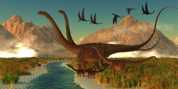 Teruel aporta la primera evidencia del dinosaurio Diplodocus fuera de Norteamérica