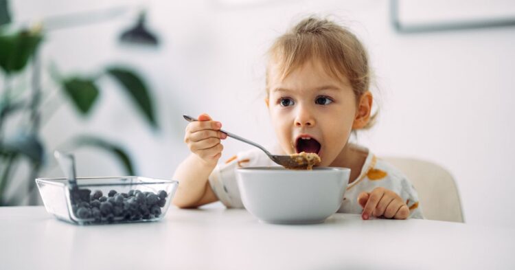 Vuelta al cole: las pautas de los expertos sobre la hora del desayuno infantil y los errores más comunes que deben evitar las familias Vuelta al cole: las pautas de los expertos sobre la hora del desayuno infantil y los errores más comunes que deben evitar las familias