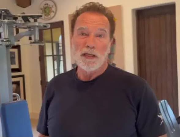 Arnold Schwarzenegger dona 16 hectáreas para conservar las montañas de Santa Mónica Arnold Schwarzenegger dona 16 hectáreas para conservar las montañas de Santa Mónica