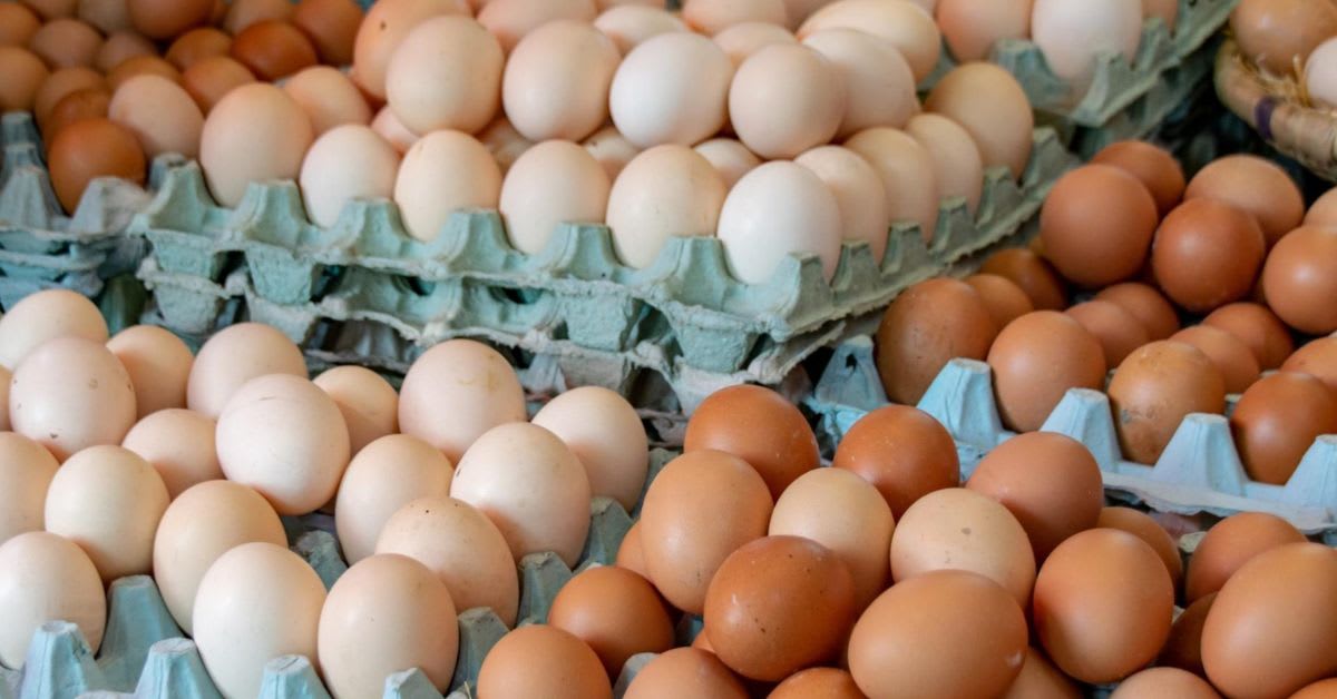 La Unión Europea declara la alerta alimentaria por salmonela en huevos frescos procedentes de España