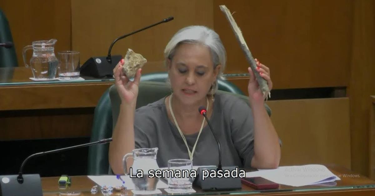 Concejal tránsfuga de Vox provoca polémica en el pleno de Zaragoza con un palo y una piedra