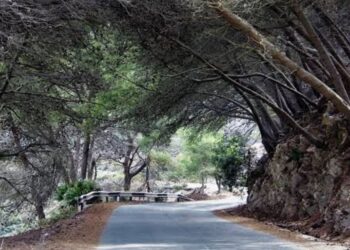 Ceuta arranca en García Aldave su plan de asfaltado más ambicioso con una inversión de 7,7 millones de euros