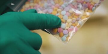 La medetomidina, un sedante veterinario, se convierte en una nueva droga peligrosa La medetomidina, un sedante veterinario, se convierte en una nueva droga peligrosa