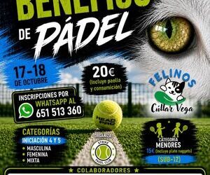 Crestanevada colabora en el I Torneo Benéfico de Pádel a favor de Felinos Cúllar Vega Crestanevada colabora en el I Torneo Benéfico de Pádel a favor de Felinos Cúllar Vega